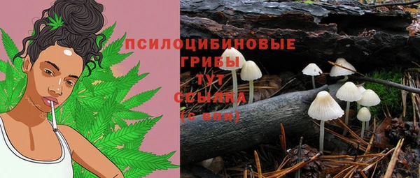 шишки Карталы