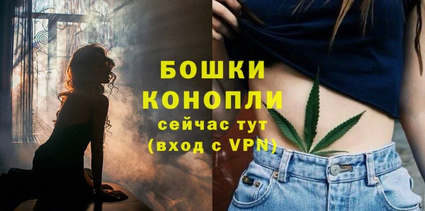 mix Касимов